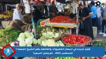 قفزة جديدة في أسعار الخضروات والفاكهة بكفر الشيخ الجمعة 1 أغسطس 2025.. كم وصل السعر؟